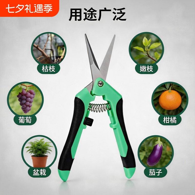 摘果剪强力修枝剪子园林稀果花艺剪葡萄水果专用剪刀蔬果采摘剪子