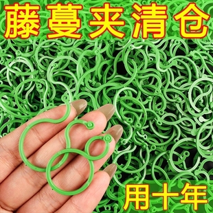 多功能新款 植物蔬菜固定卡夹茄子绿植茎秆园林卡扣园艺8字扣藤蔓