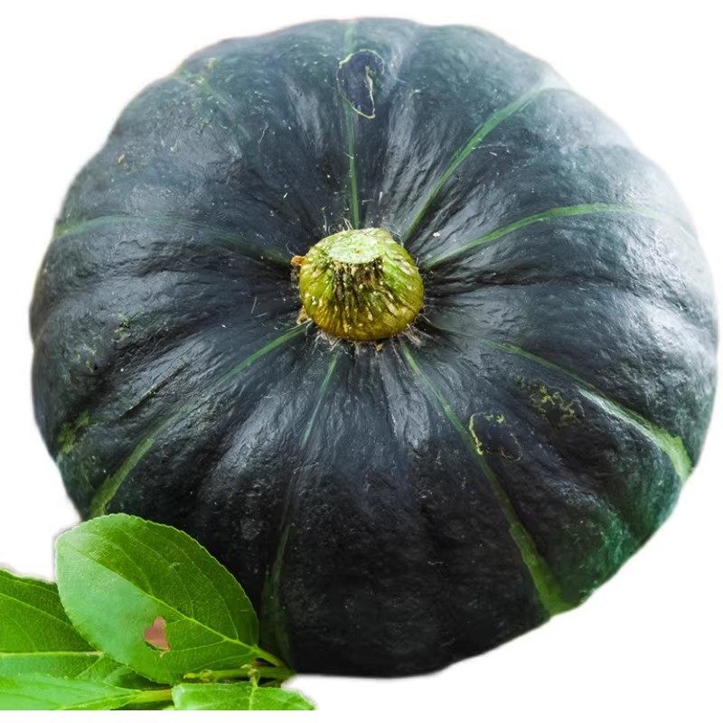 正宗贝贝南瓜粉糯板栗小南瓜新鲜婴儿辅食营养粗粮蔬菜粉香甜蜜糯,水产肉类/新鲜蔬果/熟食,南瓜,淘宝优惠券,粉丝福利购,淘宝优惠卷