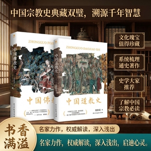中国道教史一部了解道教的入门书科普启蒙书养生与生活哲学佛教史讲述各宗派的源流文化常识宗教学术通史类书籍读物道家分析