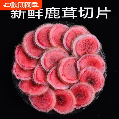 吉林梅花鲜鹿茸整枝|386人收藏