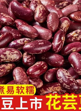 紫花芸豆云南农家四季豆花豆新豆新鲜酸菜东北饭豆子五谷杂粮批发
