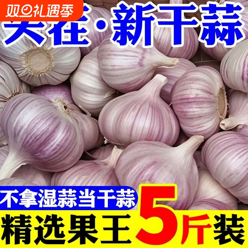 【太便宜】农家大蒜头干蒜山东大蒜批发价新干蒜白紫皮大蒜蔬菜