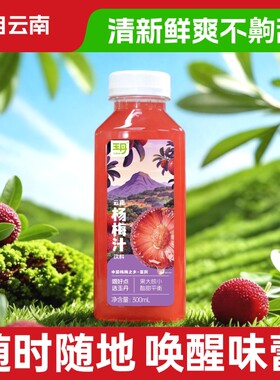 玉丹杨梅汁饮料300ml*4瓶分享装