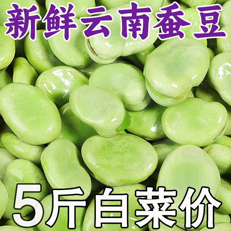 云南胡豆新鲜现摘带壳蚕豆甜嫩