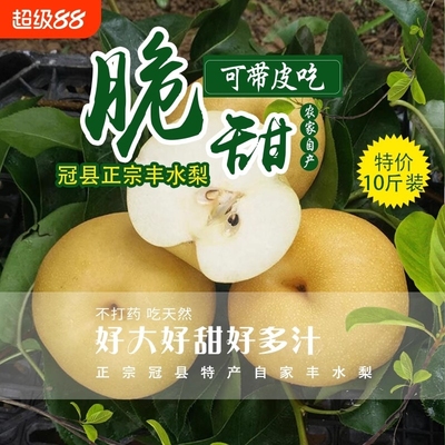 现摘现发新鲜正宗山东丰水梨甜梨时黄梨多汁脆甜梨子果园整箱包邮