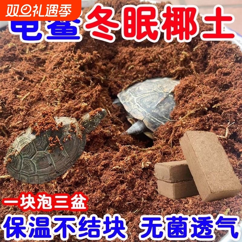椰砖营养土乌龟冬眠爬宠椰糠土干苔藓缸过冬装备寄居蟹专用宠物