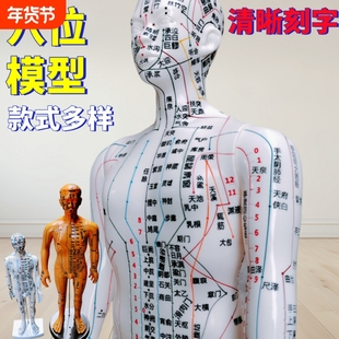 针灸人体模型中医经络小铜人穴位十二全身男女小皮人可练习模拟