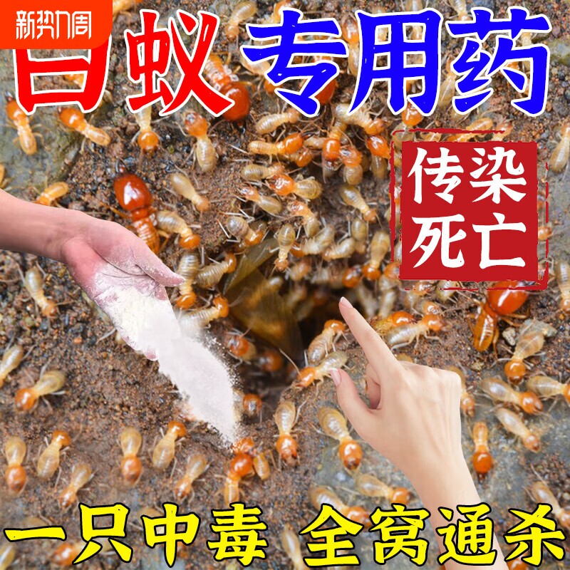 白蚁防治专用全窝端家用白蚁克星强效毁巢灵灭杀白蚁蚂蚁药消杀粉