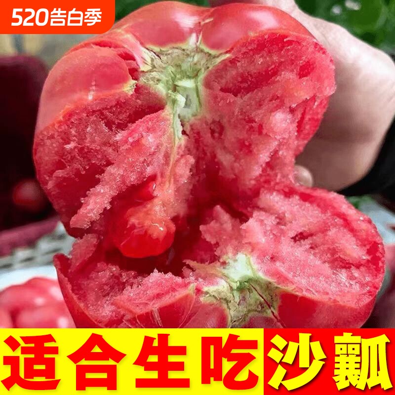 甘肃沙漠沙瓤西红柿现摘现发口口爆汁酸甜可口原产地直发京东包邮