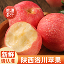 包邮 西域美农陕西洛川红富士苹果当季 新果脆甜多汁红苹果顺丰