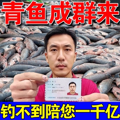 青鱼专用饵料钓螺蛳青夏野钓黑坑专用饵料颗粒主攻青鱼血螺肉鱼饵
