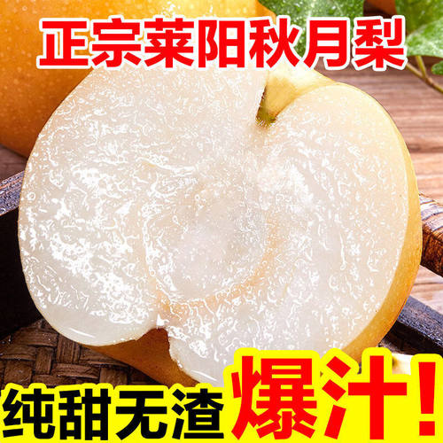 莱阳秋月梨冰糖甜送礼