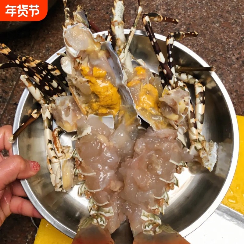 探味岛【顺丰包邮】海捕新鲜小青龙小龙虾鲜活冷冻花龙澳龙大青龙