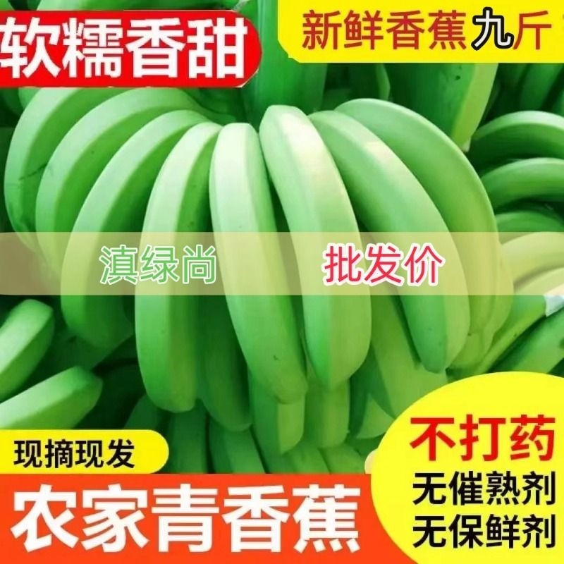 云南新鲜高山青香蕉现摘现发大香蕉热带水果自然熟banana芭蕉 水产肉类/新鲜蔬果/熟食 香蕉 原图主图