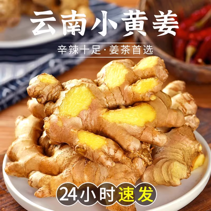 正宗云南新鲜小黄姜生姜干老姜嫩姜土姜子姜现挖高山沙姜5斤包邮