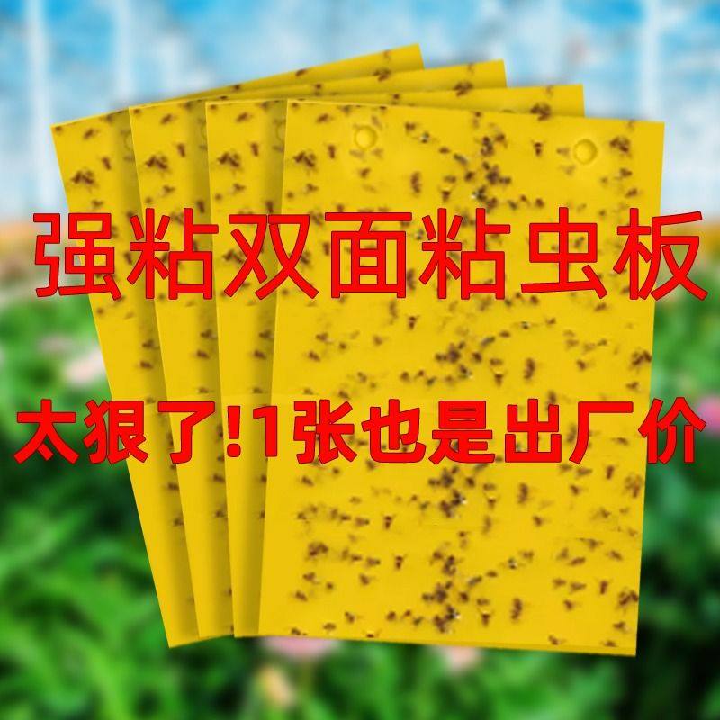 双面粘虫板大棚专用|万人加购图片