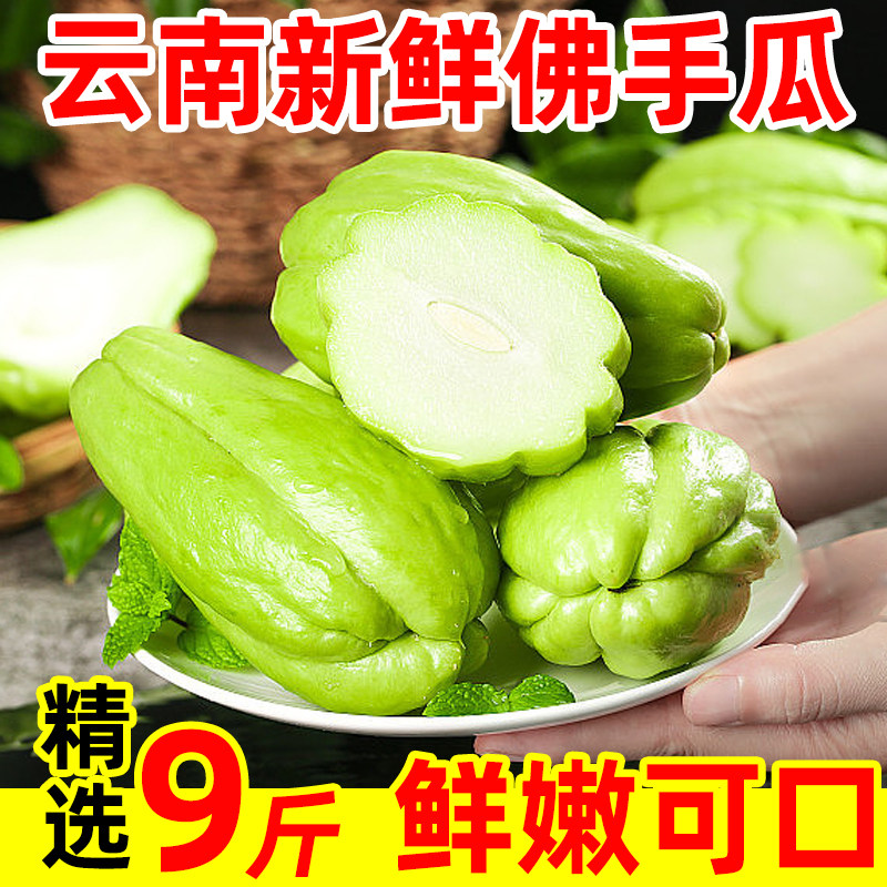 云南佛手瓜新鲜洋瓜窝瓜农家现摘捧瓜福寿瓜嫩蔬菜洋丝瓜包邮自提