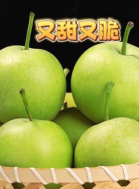 正宗脆甜翠冠梨水果青梨薄皮梨子新鲜水果脆甜无渣包邮