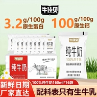 牛佳贝全脂纯牛奶100%生牛乳