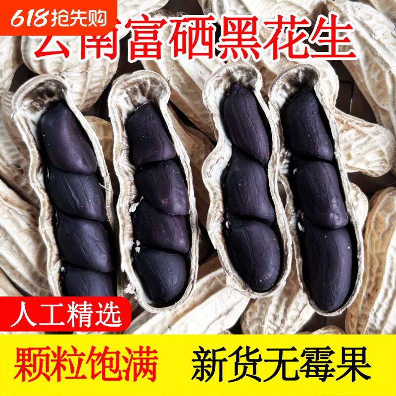 富硒黑花生带壳2025云南普洱特产晒干生熟花生米健康七彩年货黑皮