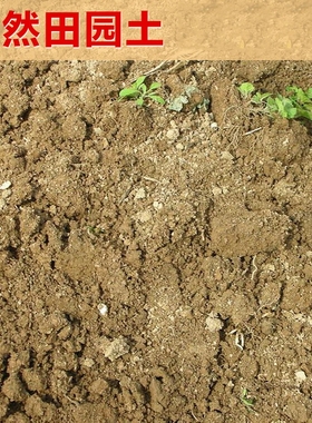 田园土沙土家庭园艺栽花种菜土壤 营养土大包黄土养花土泥土包邮