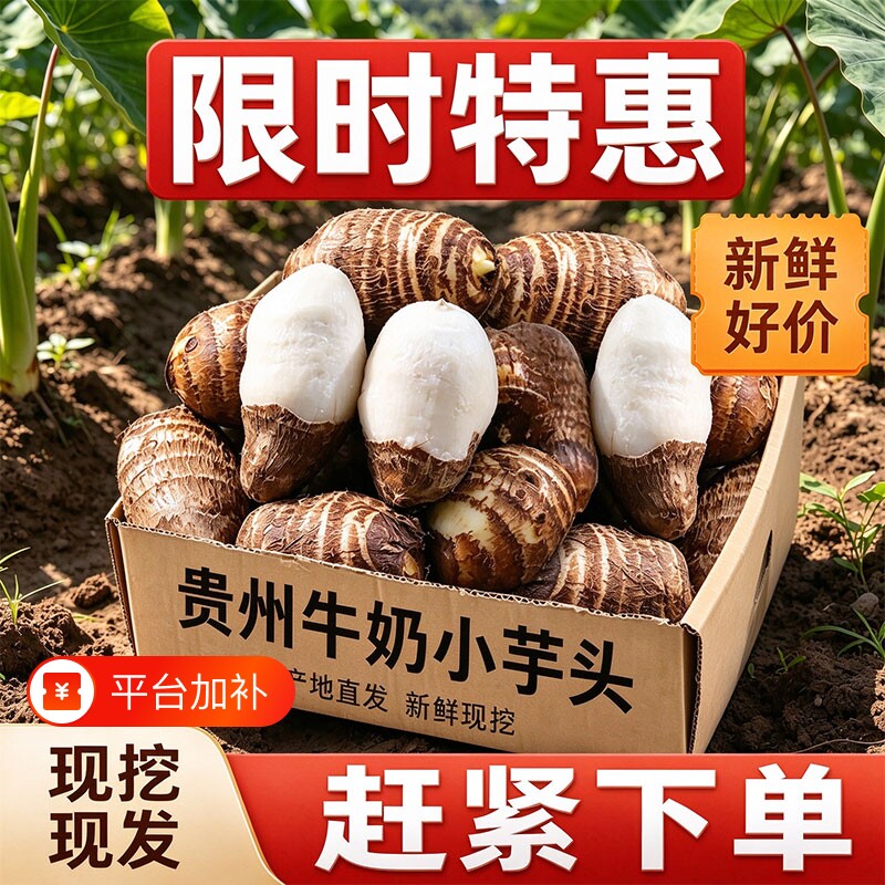 贵州牛奶芋头小香芋新鲜毛芋头现挖农家自种奶油芋艿软糯香甜9斤