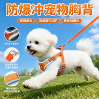 狗狗牵引绳背心式宠物胸背带遛狗