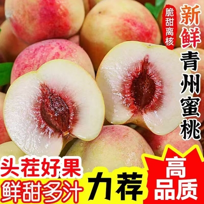 山东青州蜜桃毛桃冬雪蜜桃现摘脆甜秋桃离核小冬桃应季新鲜水果