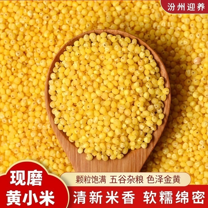 农家黄小米五谷杂粮新鲜软糯小米当季新粮养胃袋装米粥浓米油香稠