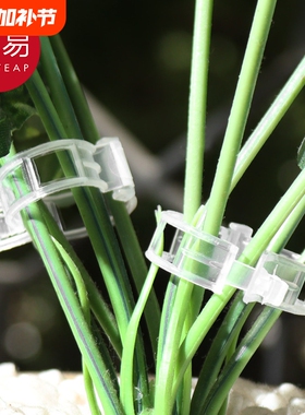 藤蔓固定夹A1pl700-绿植果树植物固定夹爬藤卡扣果蔬秧苗吊秧夹