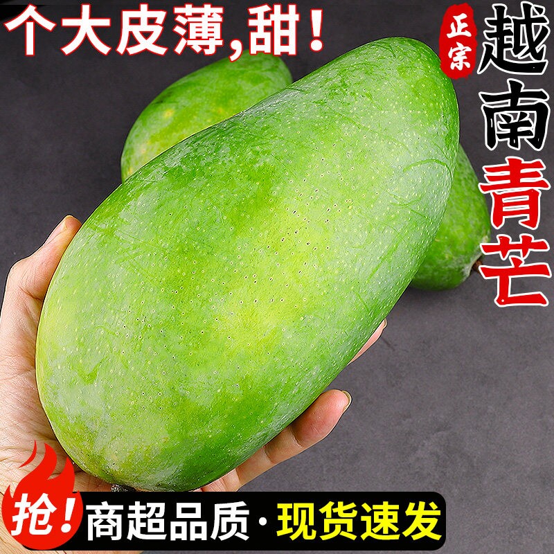 新鲜大青芒生吃芒果现摘现发新鲜水果大青芒果生吃酸脆包邮整箱