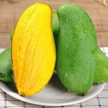 【11元】5斤云南金煌大青芒单果400g+