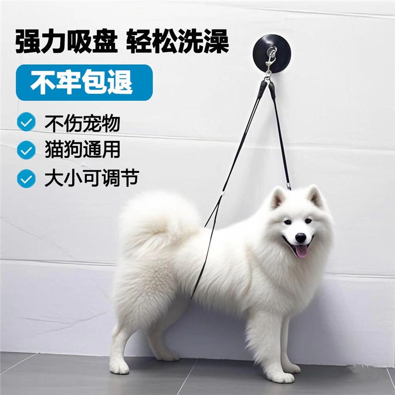 宠物洗澡固定器猫狗通用美容吊绳宠物店剪毛吹毛防跑吸盘洗澡神器