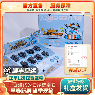 云南L25花香蓝莓新鲜水果