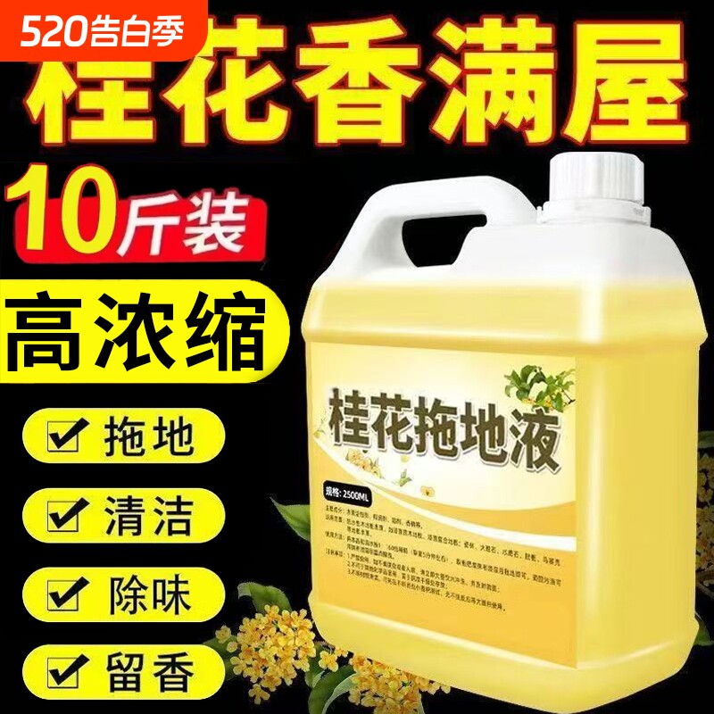 桂花香拖地花露水专用清洁液神器速干留香液木地板瓷砖清洁剂家用