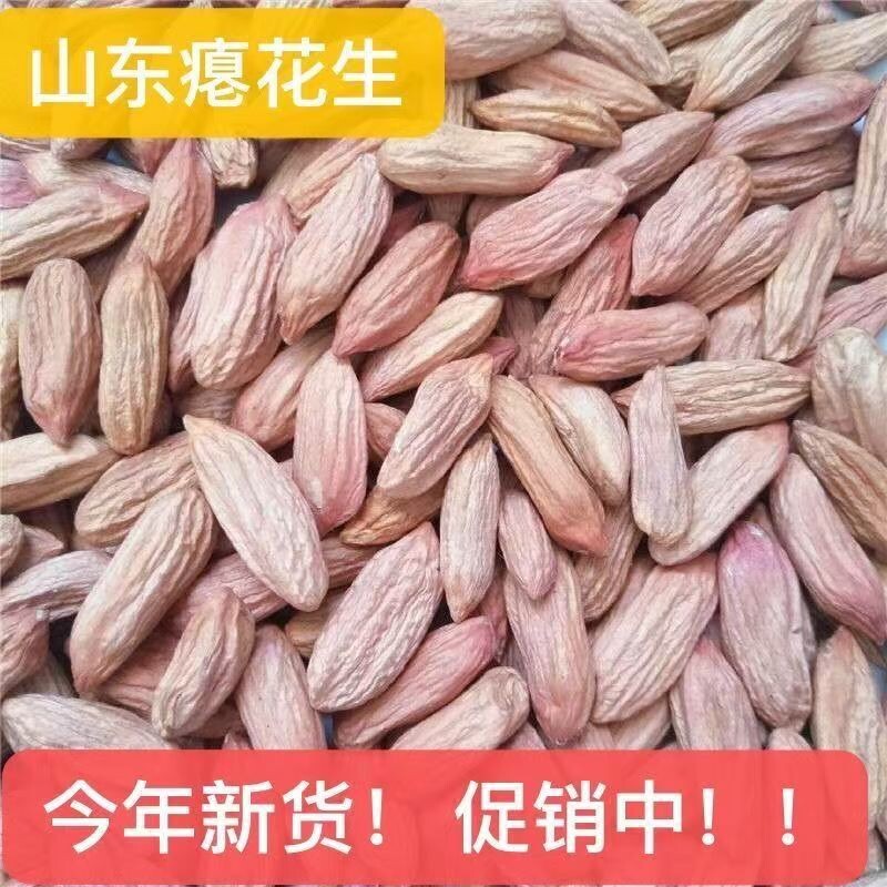 山东瘪花生2025当季新货花生米甘甜零食生小粒花生仁批发瘪子花生