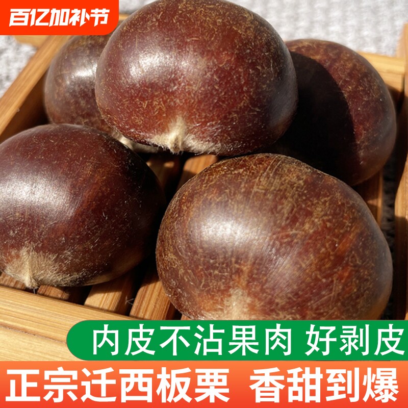 2025正宗迁西板栗生新鲜河北唐山栗子大栗燕山小油栗板粟毛板栗
