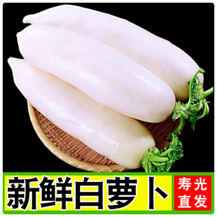新鲜白萝卜农家自种洗净可腌制泡菜可生吃新鲜纯天然