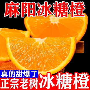 麻阳锦蜜冰糖橙脆嫩鲜甜老树冰糖橙新鲜橙自然成熟手剥橙包邮