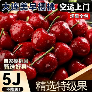 大连美早大樱桃新鲜水果顺丰空运 装 当季 整箱5J孕妇国产车厘子 包邮