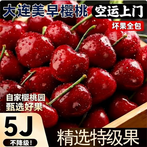 大连美早大樱桃新鲜水果现摘空运包邮装当季整箱5J孕妇国产车厘子