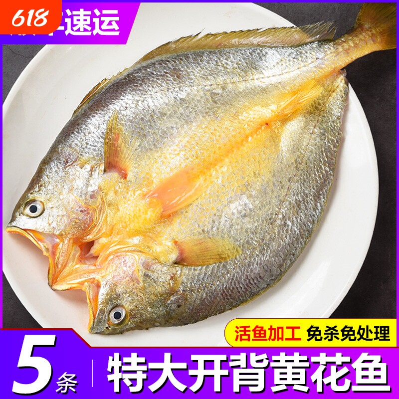 福建宁德霞浦黄鱼鲞新鲜黄花鱼大黄鱼三去小黄鱼海鲜海鱼冷冻水产