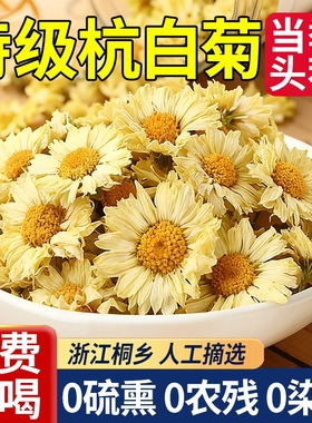 菊花茶正宗桐乡杭白菊官方旗舰店正品特级去火排清热毒菊花茶泡茶