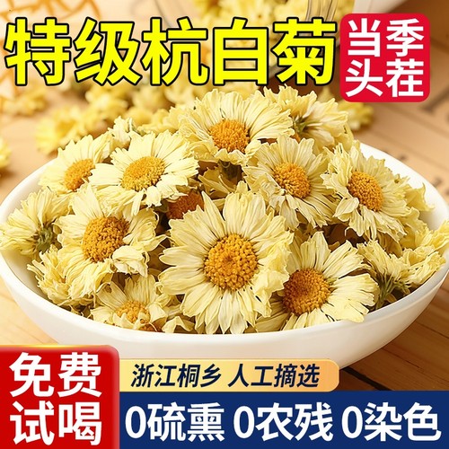 菊花茶正宗桐乡杭白菊官方旗舰店正品特级去火排清热毒菊花茶泡茶