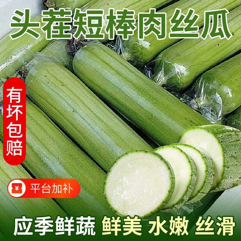 短棒丝瓜新鲜肉丝瓜农家自种现摘新鲜蔬菜当季时令蔬菜整箱批发