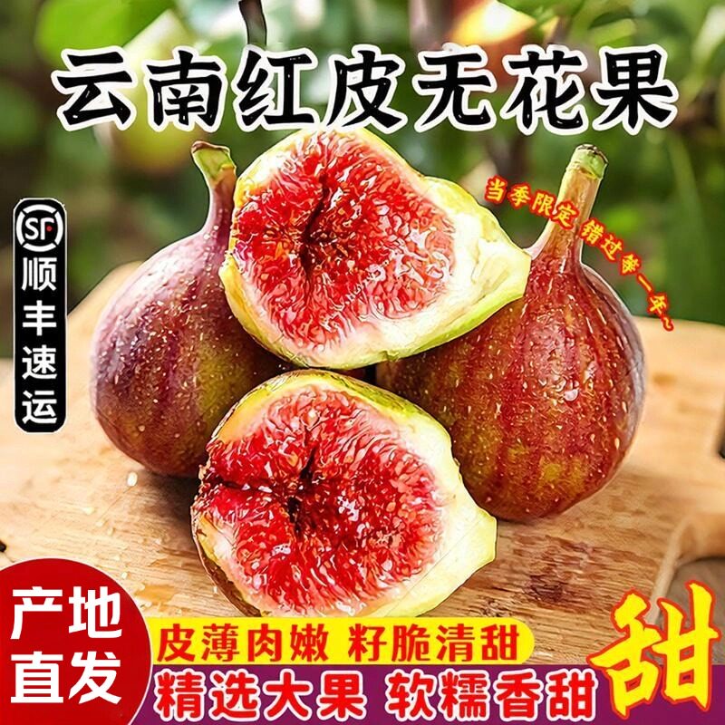 顺丰包邮云南红皮新鲜无花果应当季水果波姬红现摘鲜果糖包子红心