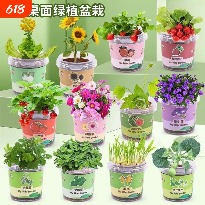 幼儿园小礼品学生DIY儿童手工创意种植盆栽植物长草实用生日毕业
