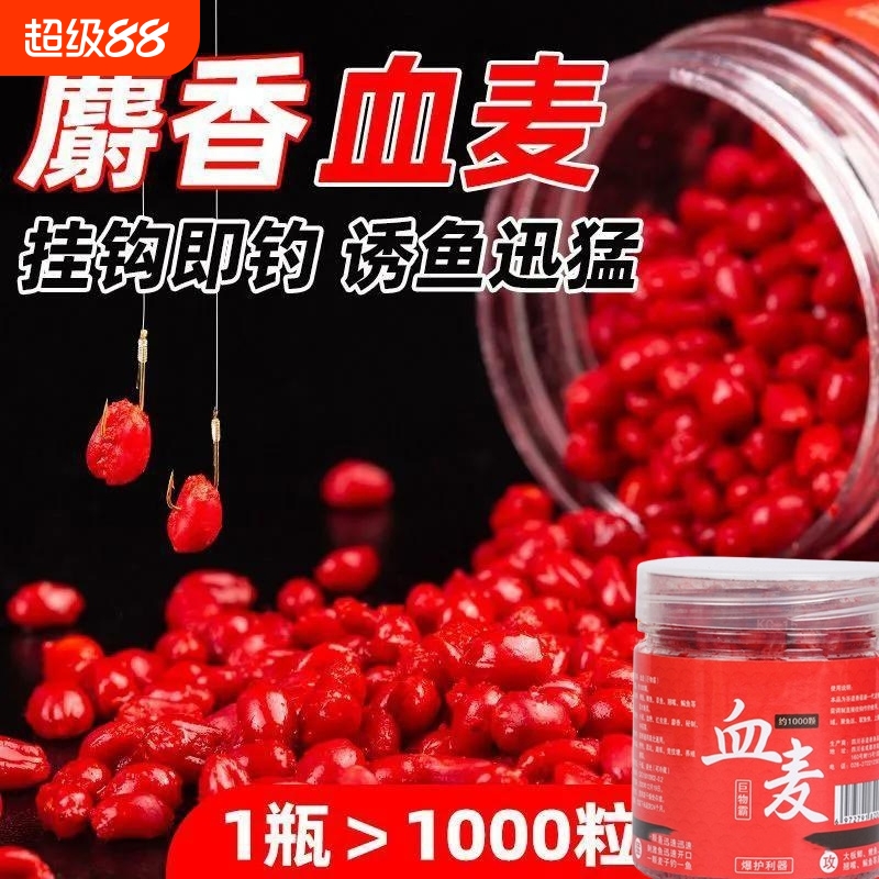 钓鱼麦子麝香鱼饵颗粒饵料挂钩野钓窝料酒米鲫鱼鲤鱼打窝玉米青鱼