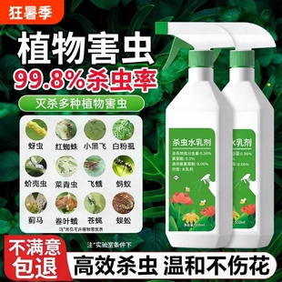小黑飞杀虫剂家用花盆花土壤灭花卉植物非专杀净飞虫药盆栽蔬菜